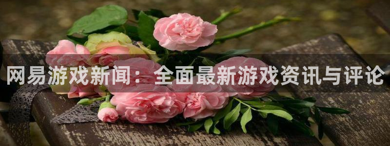 杜邦娱乐注册测速：网易游戏新闻：全面最新游戏资讯与评论