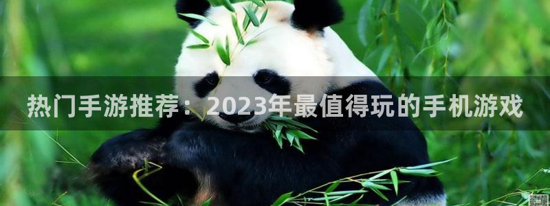 杜邦娱乐什么意思：热门手游推荐：2023年最值得玩的手机游戏