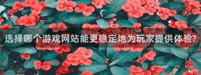 杜邦娱乐注册登录平台：选择哪个游戏网站能更稳定地为玩家提供体