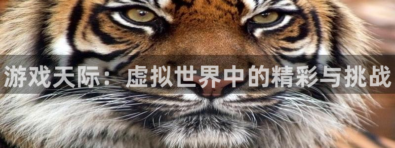 杜邦娱乐官网登录：游戏天际：虚拟世界中的精彩与挑战