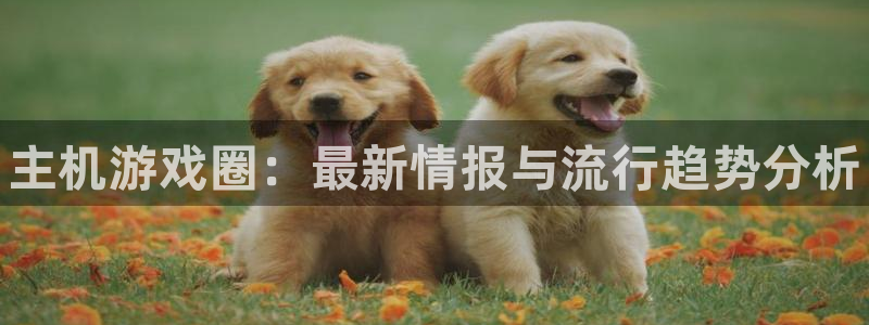 杜邦娱乐手机网页版登录：主机游戏圈：最新情报与流行趋势分析