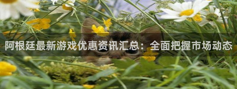 杜邦娱乐2登录:阿根廷最新游戏优惠资讯汇总:全面把握市场动态