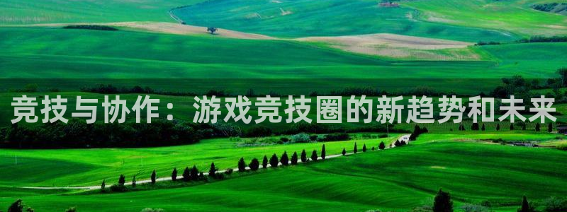 杜邦娱乐下载链接:竞技与协作:游戏竞技圈的新趋势和未来