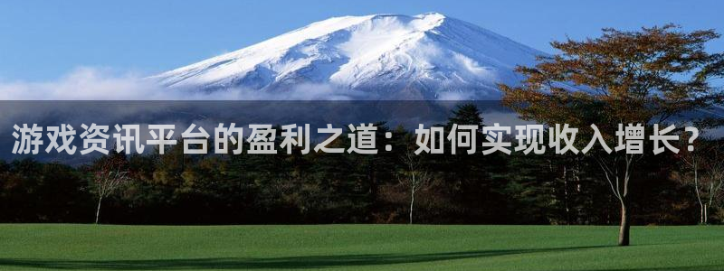 杜邦娱乐平台官网入口:游戏资讯平台的盈利之道:如何实现收入增