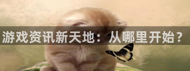 杜邦娱乐网址官网:游戏资讯新天地:从哪里开始?