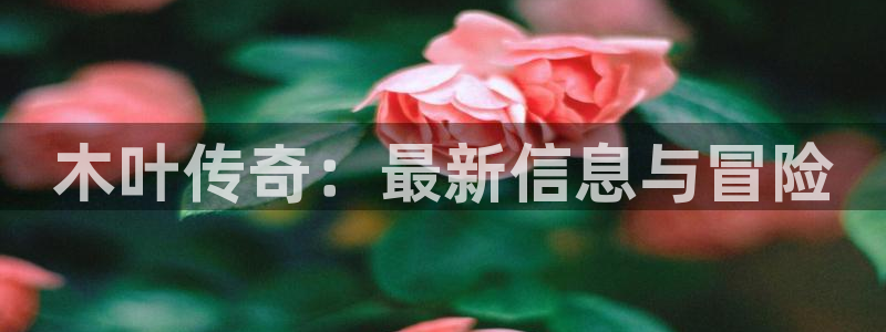 杜邦娱乐的意思：木叶传奇：最新信息与冒险