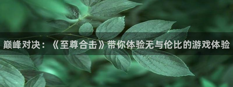 杜邦娱乐注册平台：巅峰对决：《至尊合击》带你体验无与伦比的游