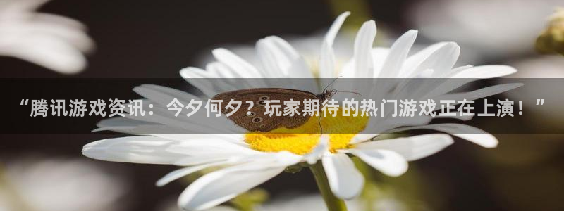 杜邦娱乐测速：“腾讯游戏资讯：今夕何夕？玩家期待的热门游戏正