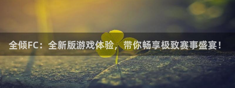 杜邦娱乐平台负责人：全倾FC：全新版游戏体验，带你畅享极致赛