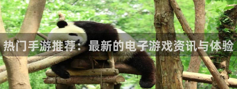 杜邦娱乐平台官网入口：热门手游推荐：最新的电子游戏资讯与体验