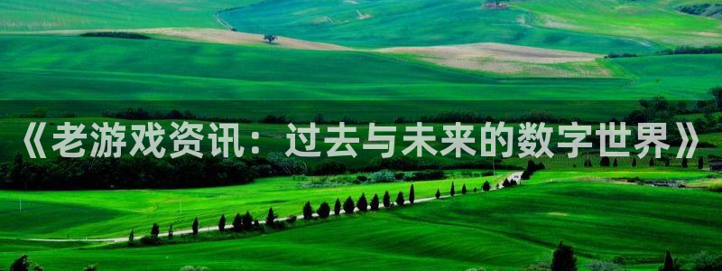 杜邦娱乐4主管：《老游戏资讯：过去与未来的数字世界》