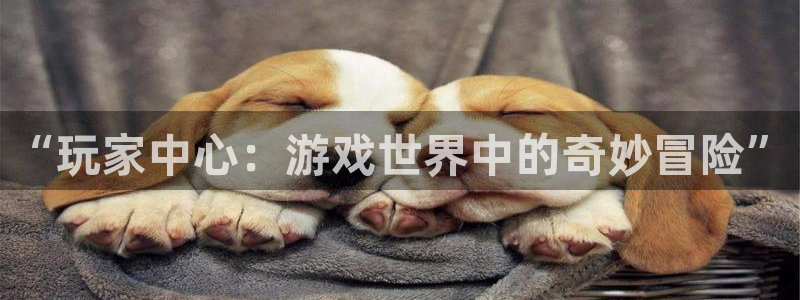杜邦娱乐官网：“玩家中心：游戏世界中的奇妙冒险”